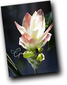Foto cover Gratis ebook: een bloem in bloei. Link naar ebook door Silvia van der Cammen over persoonlijk leiderschap, leren in je kracht komen.